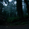Caminhadas da NOVA - Image 11